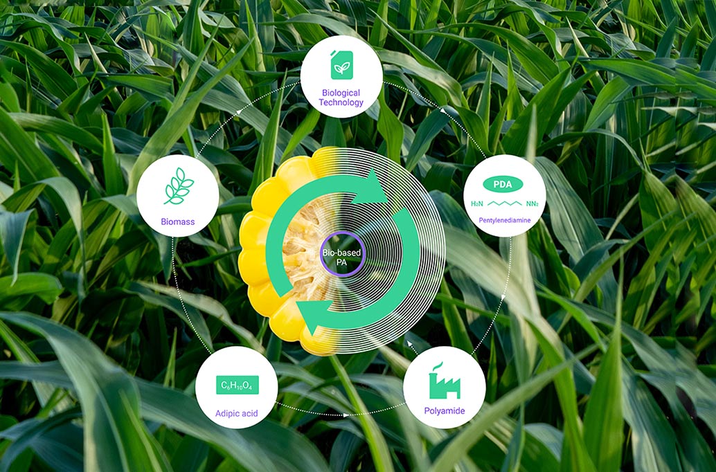 Yunnan Dandi New Materials Technology Co., Ltd.